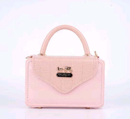 Coach Wooden Box Pouch & Panache